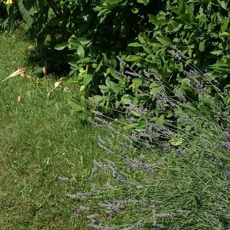 Apartments With Parking Space Vodice - 4180 Vodice