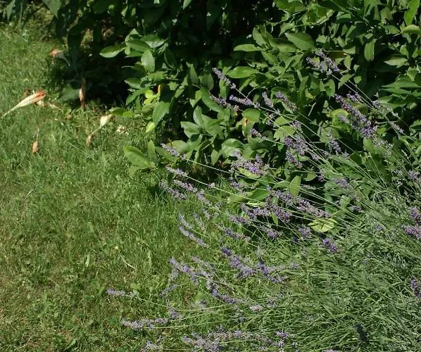 With Parking Space - 4180 Vodice